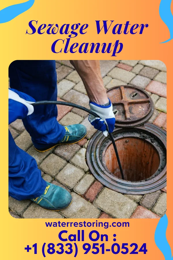 Sewage Water Cleanup in Olivet, KS